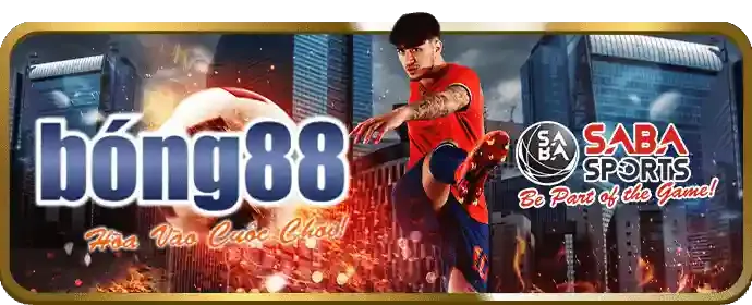 Đá Gà 911win