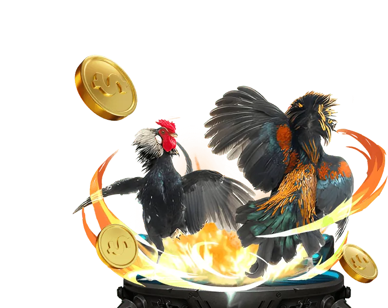 Chương trình VIP độc quyền 911win